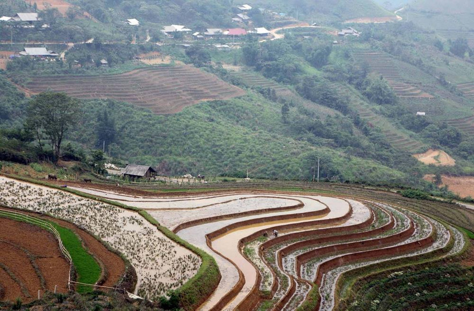 Người dân bản Sân Bay, xã Sin Suối Hồ, huyện Phong Thổ làm đất chuẩn bị cho một vụ mùa lúa mới. (Ảnh: Quý Trung/TTXVN)