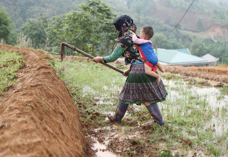 Người dân tại xã Hố Mít, huyện Tân Uyên (Lai Châu) tranh thủ làm cỏ đắp bờ lấy nước vào ruộng chuẩn bị cho một vụ mùa lúa. (Ảnh: Quý Trung/TTXVN)