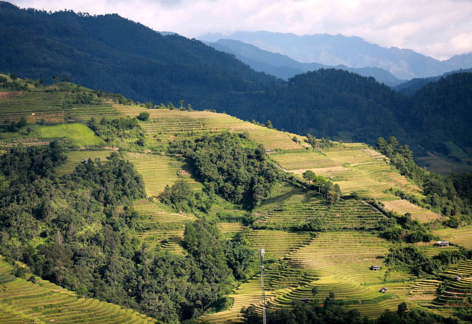 Du khách được tận mắt chứng kiến những cánh đồng ruộng bậc thang ngút ngàn, đẹp nên thơ. (Ảnh: Nhật Anh/TTXVN)