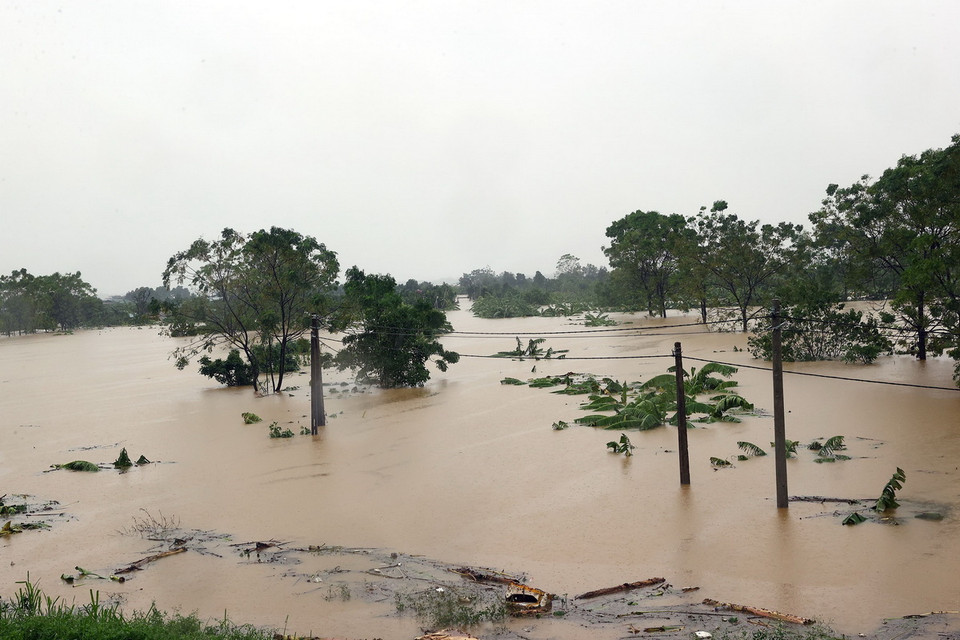 Nước sông Hồng dâng cao gây ngập hết vùng đất bãi trồng cây ăn quả và trang trại chăn nuôi của người dân xã Thọ Xuân (huyện Đan Phượng) (ảnh chụp lúc 12h07). (Ảnh: Huy Hùng/TTXVN)
