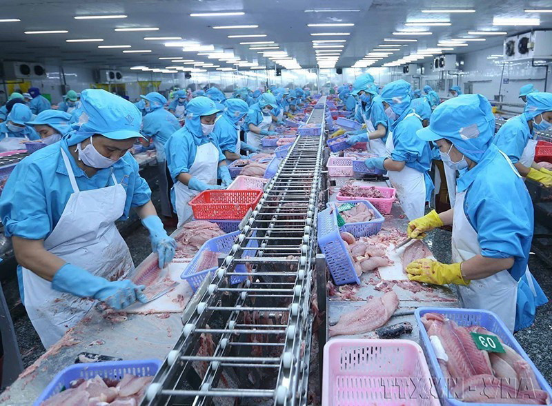  Thủy sản là một trong các mặt hàng xuất khẩu có mức tăng trưởng mạnh trong nhiều năm. (Ảnh: Vũ Sinh/TTXVN)