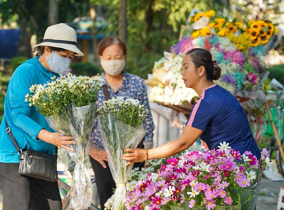 Chỉ cần nhìn cảnh mua hoa cúc hoạ mi của người bán hoa rong là ai cũng biết Hà Nội đang trong tiết trời cuối Thu đầu Đông. (Ảnh: Khánh Hoà/TTXVN)
