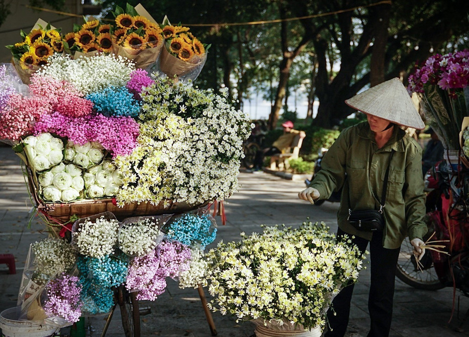 Xe hoa rong có rất nhiều loại hoa đặc trưng theo mùa. (Ảnh: Khánh Hoà/TTXVN)