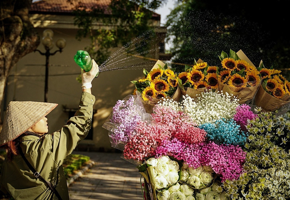 Các loại hoa được tưới thường xuyên để đảm bảo độ tươi trong cả ngày. (Ảnh: Khánh Hoà/TTXVN)