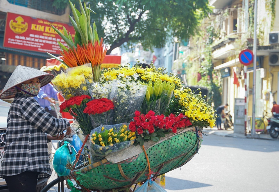 Các xe hoa rong được nhìn thấy ở khắp các ngõ ngách của Hà Nội, buổi sáng nhiều hơn buổi chiều do nhu cầu và độ tươi của hoa. (Ảnh: Khánh Hoà/TTXVN)