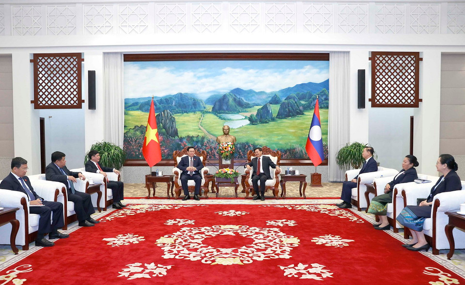 Quang cảnh cuộc hội kiến. (Ảnh: Doãn Tấn/TTXVN)