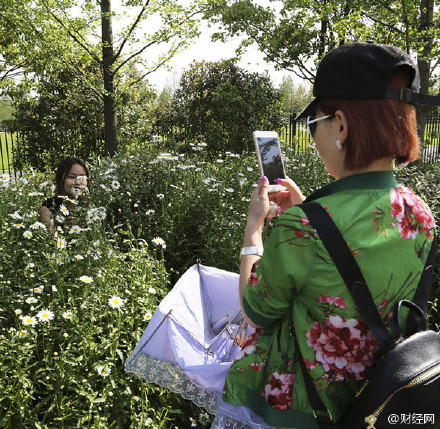 Họ sẵn sàng dẫm nát vườn hoa chỉ để có bức ảnh lưu niệm đẹp. (Nguồn: Shanghaiist)