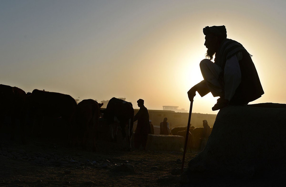 Một nhà buôn Afghanistan chờ đợi khách hàng lúc sáng sớm tại một khu chợ chăn nuôi trước lễ hội Eid al-Adha. Bức ảnh chụp tháng 10/2014. (Nguồn: AFP/TTXVN)