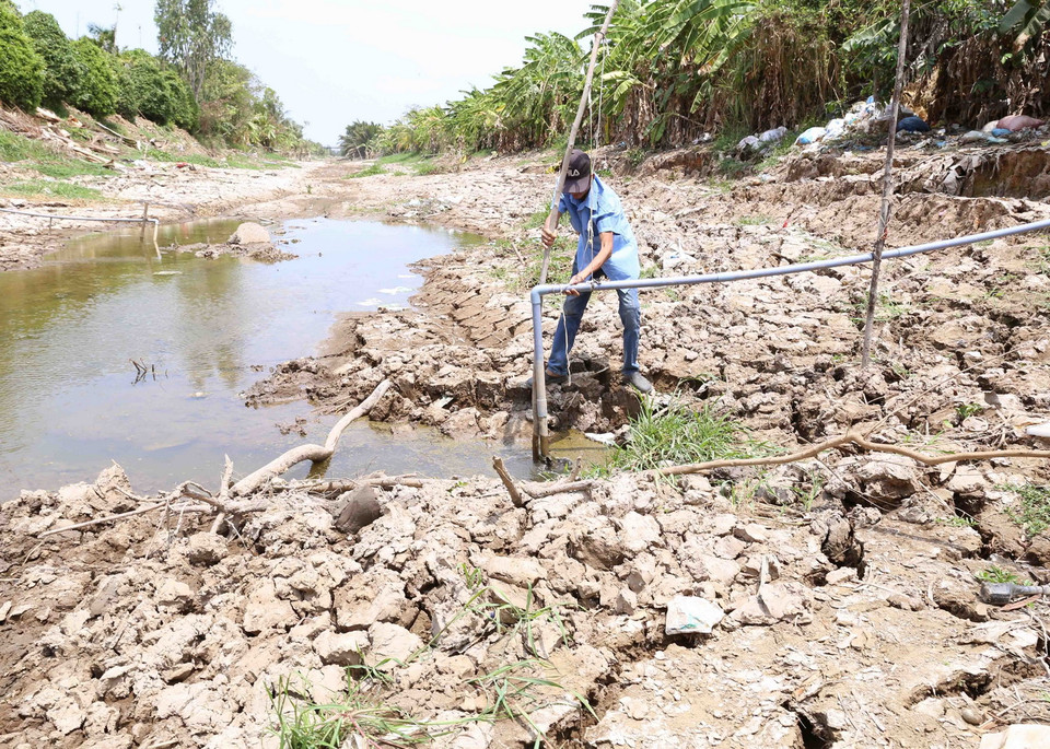 Người nông dân ở xã Long Hòa, thị xã Gò Công không thể lấy được nước phục vụ sản xuất từ kênh N14 trong một vài ngày tới. (Ảnh: Vũ Sinh/TTXVN)