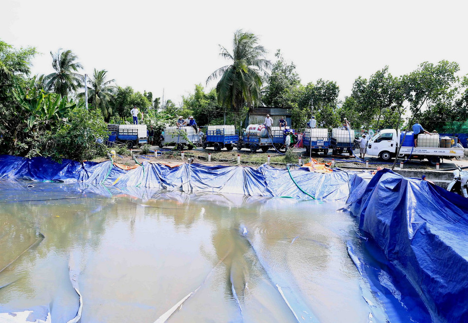  (Ảnh: Vũ Sinh/TTXVN)