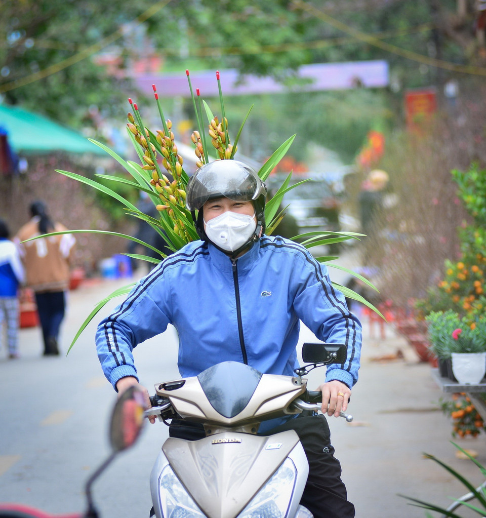  Người dân vui mừng khi chọn được cây hoa địa lan ưng ý. (Ảnh: Nam Thái/TTXVN)