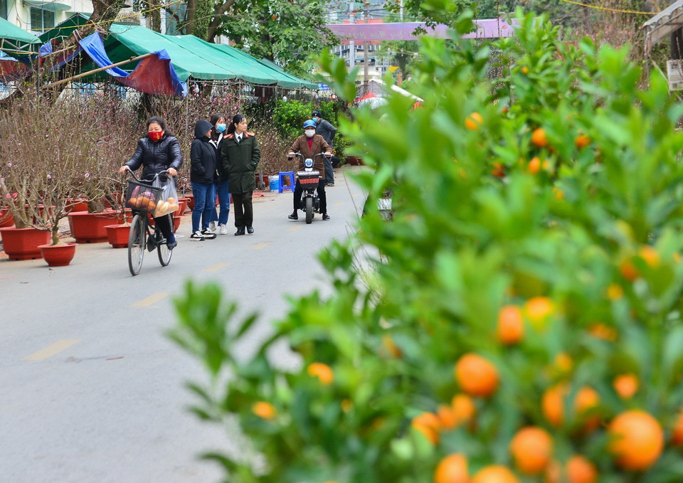  Người dân tham quan, mua sắm tại chợ hoa Tết. (Ảnh: Nam Thái/TTXVN)