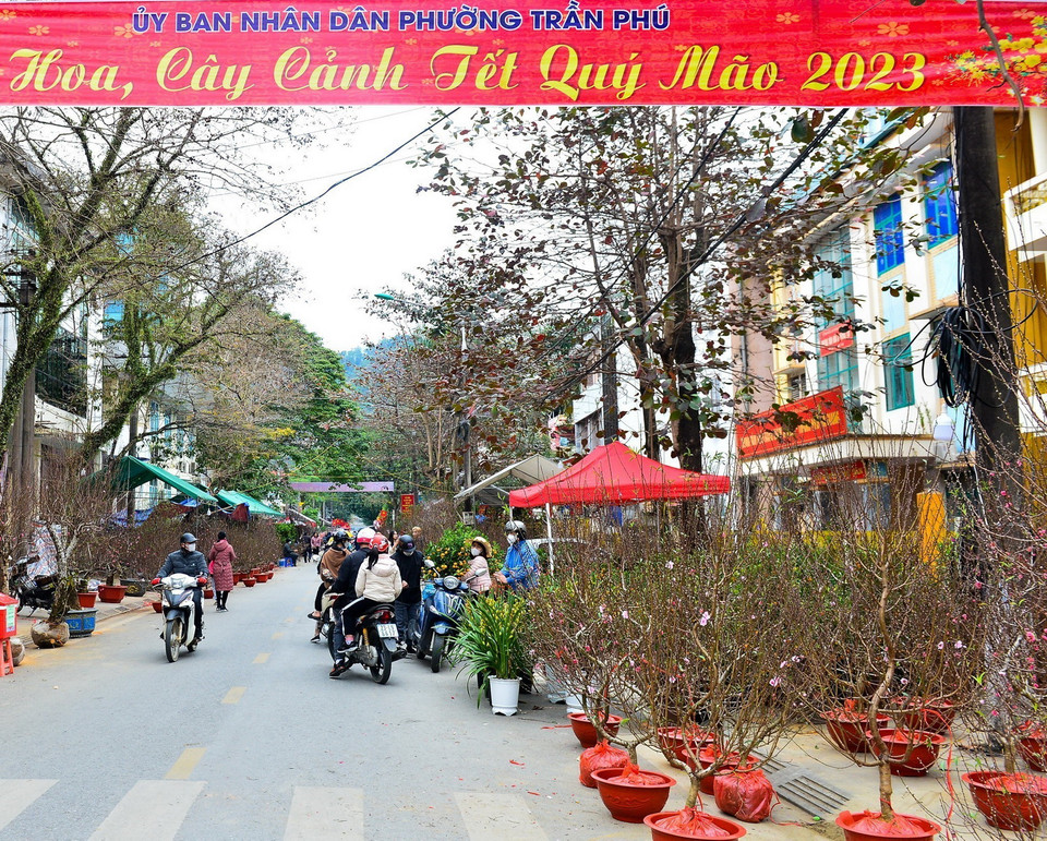  Người dân tham quan, mua sắm tại chợ hoa Tết. (Ảnh: Nam Thái/TTXVN)