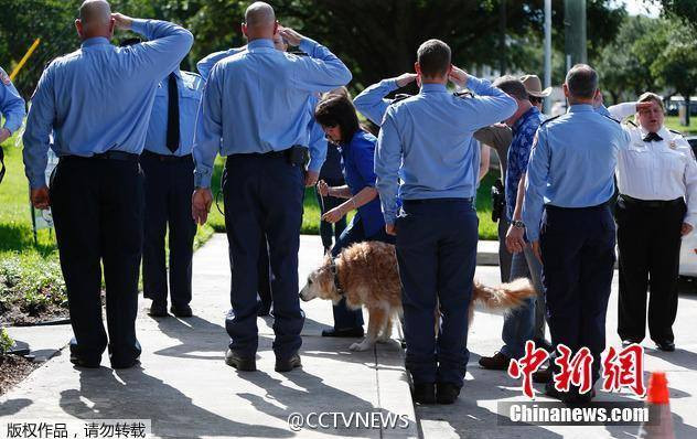 Nhiều lính cứu hỏa đã xếp hàng chào vĩnh biệt trước khi nó được trao cho một cái chết êm ái (Nguồn: CCTV)