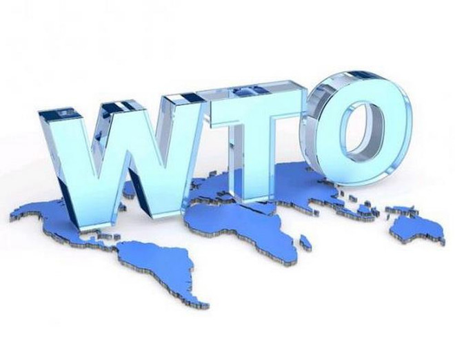 ASEAN cần phục hồi hệ thống đa phương của WTO về giải quyết tranh chấp ảnh 1