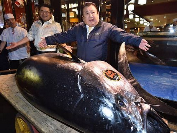 Cá ngừ khổng lồ có giá hàng triệu USD trong phiên đấu giá đầu năm ảnh 1