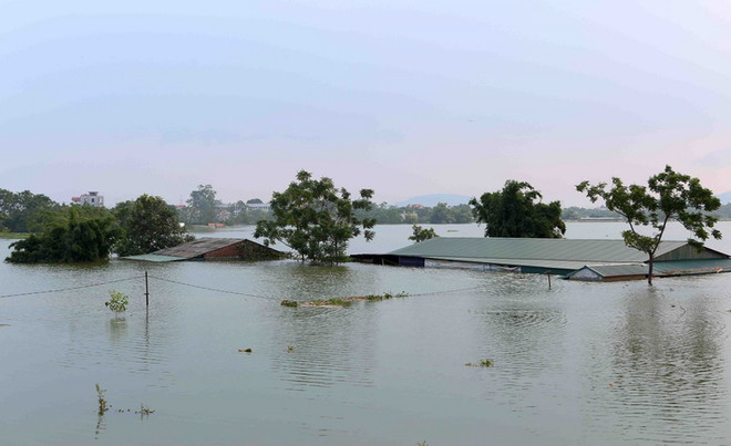 Nhiều dấu ấn trong công tác phòng chống, tái thiết sau thiên tai ảnh 1