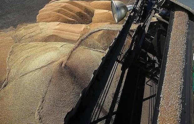 Liên hợp quốc: Triều Tiên cần thêm khoảng 1,36 triệu tấn ngũ cốc ảnh 1