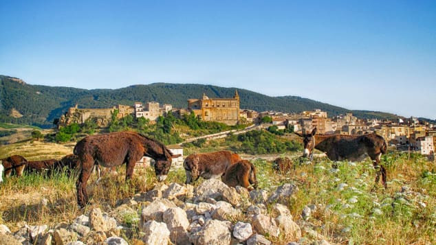 Mua nhà trên bờ biển thuộc hòn đảo Sicily với giá chỉ 1 euro ảnh 2