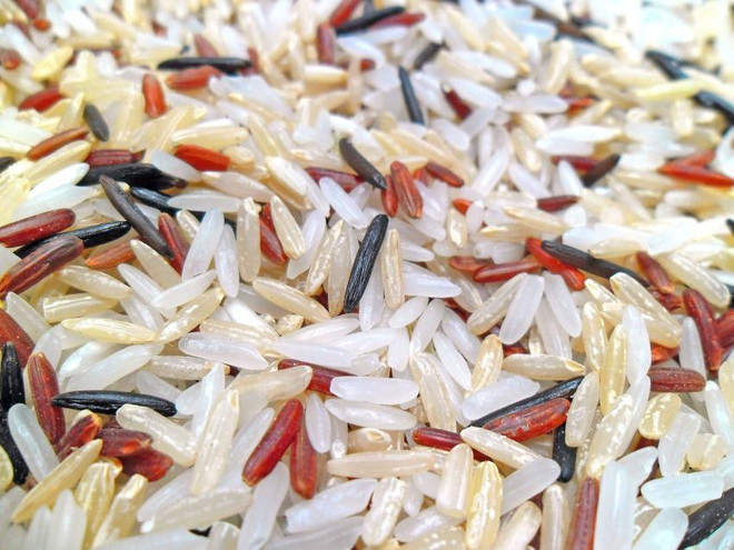 Các quốc gia ăn cơm như một loại lương thực chính có tỷ lệ béo phì thấp. (Nguồn: medicalxpress) Phát hiện mới: Ăn nhiều cơm gạo hơn có thể giúp chống béo phì ảnh 1