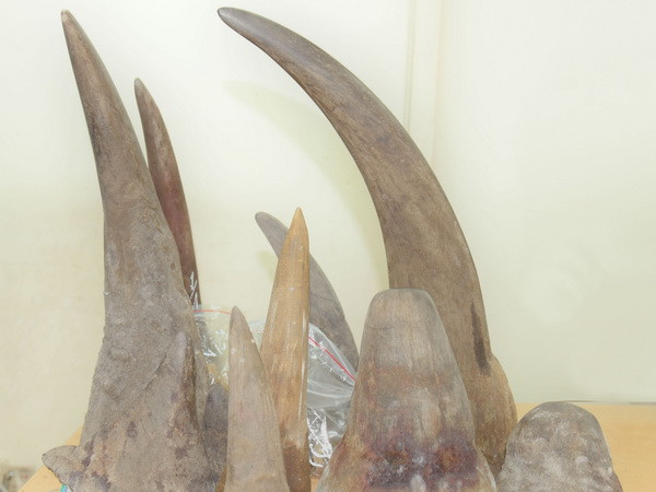 Xử lý triệt để hành vi buôn bán trái phép động vật hoang dã ảnh 1