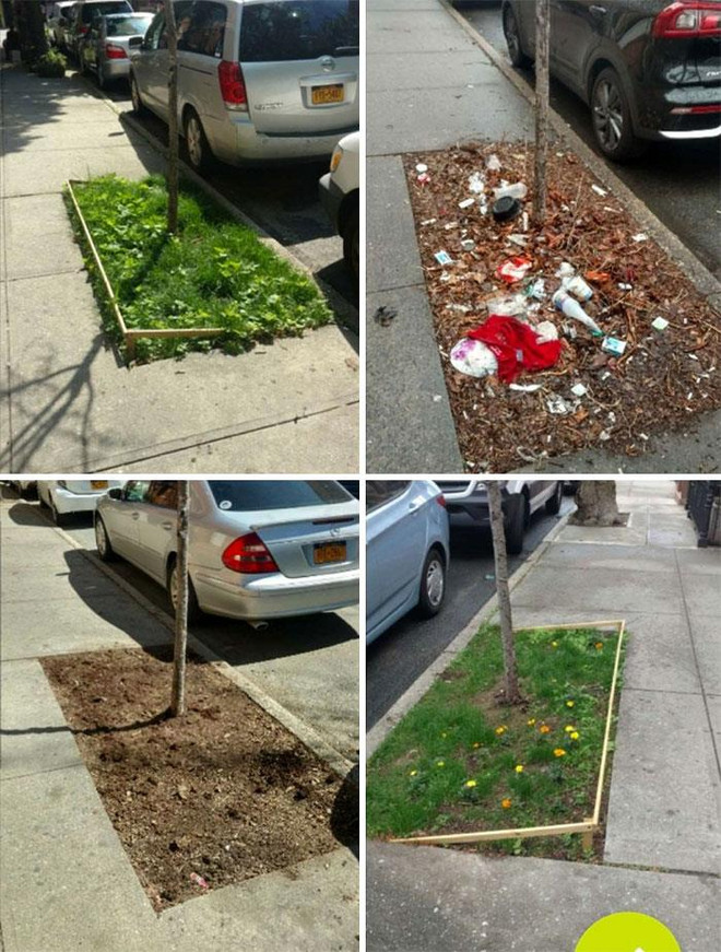 Trào lưu dọn rác #Trashtag và những phản ứng tích cực từ cộng đồng ảnh 29