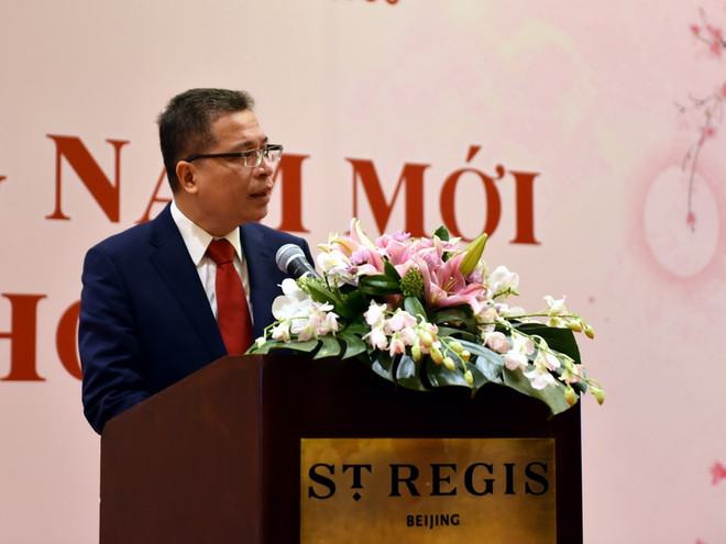 Đại sứ quán Việt Nam tại Trung Quốc tổ chức Tết Cộng đồng 2019 ảnh 1