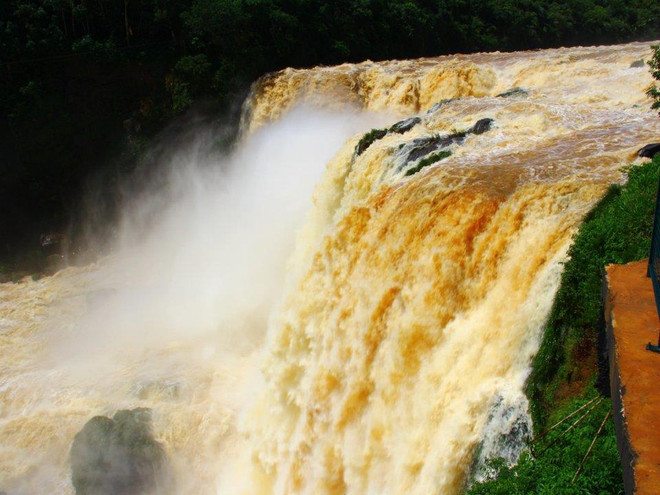 25 công ty khổng lồ với doanh thu lớn hơn GDP của cả một quốc gia ảnh 10