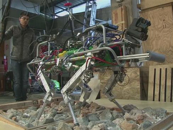 Robot mới có khả năng làm việc tại những khu vực xảy ra thảm họa. (Nguồn: presstv.ir) Italy phát triển loại robot bốn chân cho các vùng bị thảm họa ảnh 1