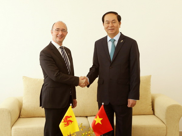 Chủ tịch nước Trần Đại Quang tiếp Bộ trưởng, Thủ hiến vùng Wallonie-Bruselles (Bỉ) Rudy Demotte. (Ảnh: Nhan Sáng/TTXVN) Chủ tịch nước Trần Đại Quang tiếp xúc song phương ở Madagascar ảnh 1