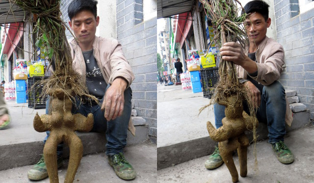 Rễ cây hình người phụ nữ khỏa thân gây "náo động" đường phố ảnh 1