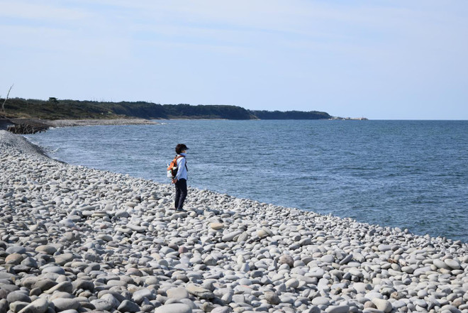 Tottori - thành phố tái định cư với môi trường sống tốt nhất Nhật Bản ảnh 3