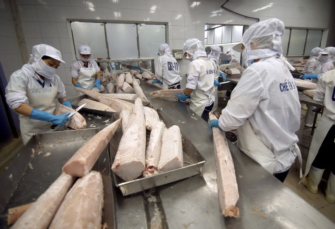 Hoạt động sản xuất tại Việt Nam ở mức cao nhất trong 18 tháng ảnh 1