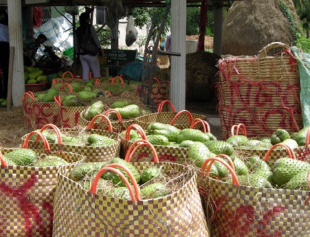 Tiền Giang: Mãng cầu xiêm tăng giá gấp đôi so với cùng kỳ năm ngoái ảnh 1