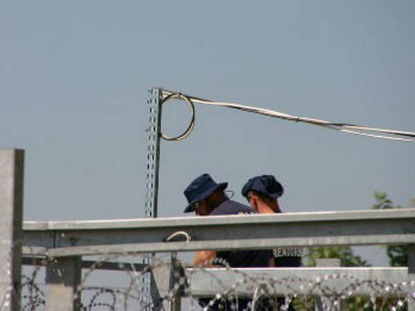 Áo triển khai binh sỹ tới khu vực biên giới Hungary-Serbia ảnh 1