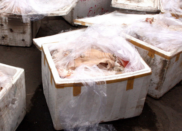 Phát hiện xe khách chở khối lượng lớn nội tạng không rõ nguồn gốc ảnh 1