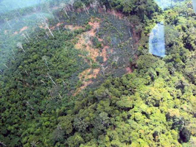 Khu vực sinh sống của bộ lạc Yanomami. (Nguồn: AFP) Bộ lạc biệt lập ở Amazon dùng cung bắn chết 6 người đào vàng ảnh 1