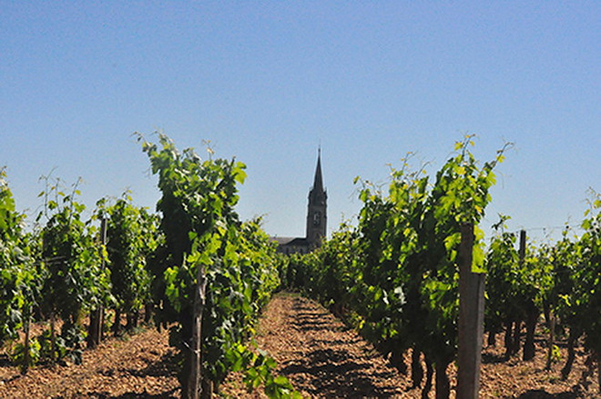 Đến EURO, ghé thăm vùng rượu vang nức tiếng nước Pháp ảnh 2