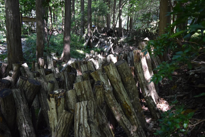 Tottori - thành phố tái định cư với môi trường sống tốt nhất Nhật Bản ảnh 4