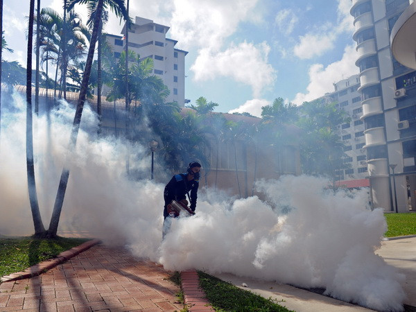 Singapore xác nhận phát hiện thêm 14 ca nhiễm mới virus Zika ảnh 1