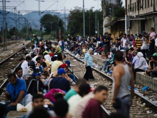 Số người nhập cư từ Liên minh châu Âu sang Đức tăng mạnh ảnh 1