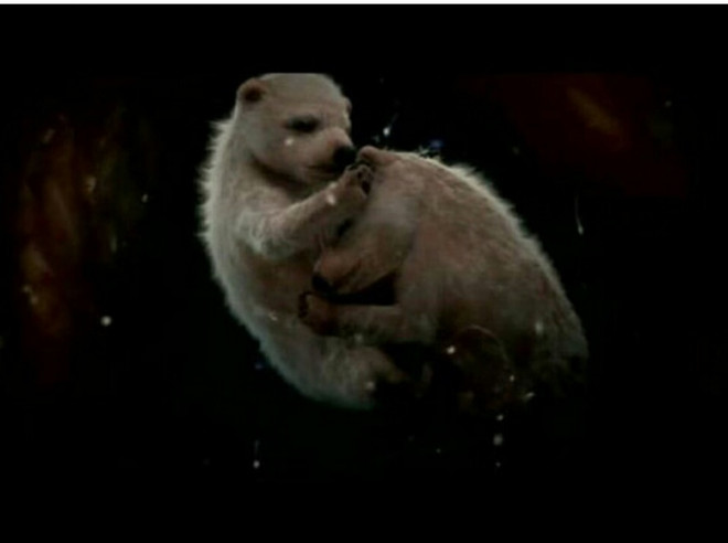 Những bức ảnh đẹp nghẹt thở về thú non còn trong trứng nước ảnh 13