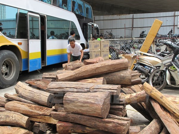 Bắt xe chở gỗ lậu “ngụy trang” xe đưa tang trên quốc lộ 1A ảnh 1