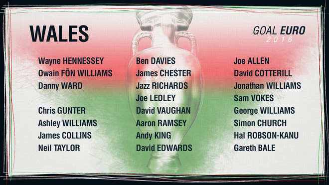 Danh sách chi tiết cầu thủ bảng B dự vòng chung kết EURO 2016 ảnh 3