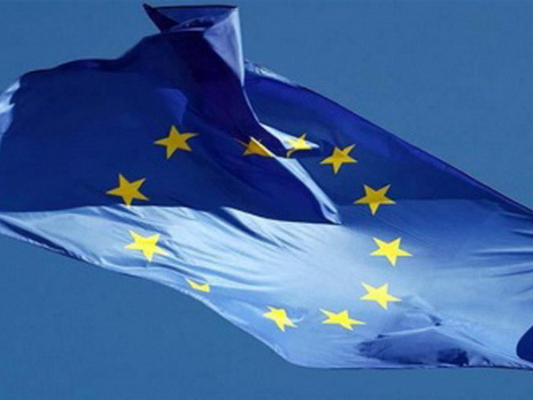 Liên minh châu Âu nới lỏng lệnh cấm bán sản phẩm dầu sang Syria ảnh 1