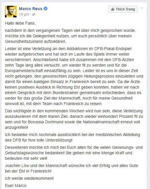 Marco Reus lần đầu lên tiếng sau khi lỡ vòng chung kết EURO ảnh 3