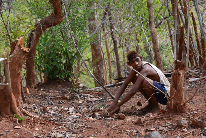 "Cuộc sống Tarzan" của hai anh em ruột người Ấn Độ ảnh 3