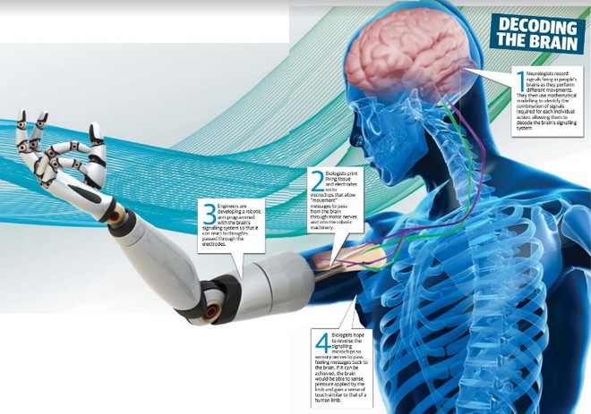 Kết hợp bộ phận cơ thể người với máy móc và thành công đầu tiên ảnh 1