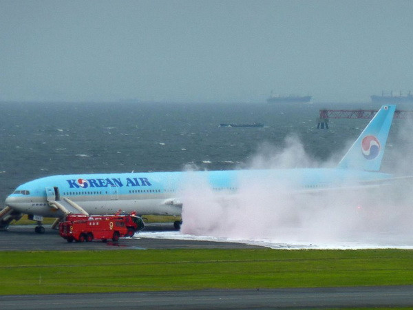Mỹ, Nhật, Hàn điều tra vụ cháy động cơ máy bay của Korean Air ảnh 1