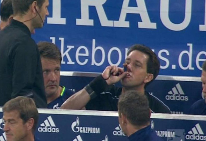 Bác sỹ của Schalke đã cho trọng tài Manuel Gräfe uống gì? ảnh 1